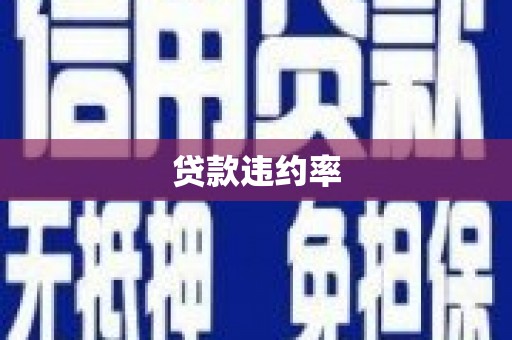 冬山贷款违约率