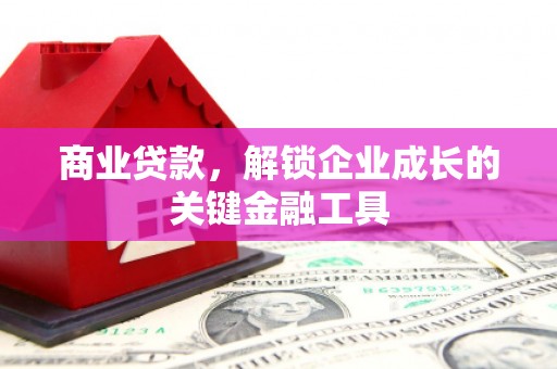 冬山商业贷款，解锁企业成长的关键金融工具
