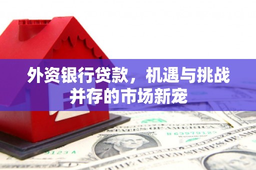冬山外资银行贷款，机遇与挑战并存的市场新宠