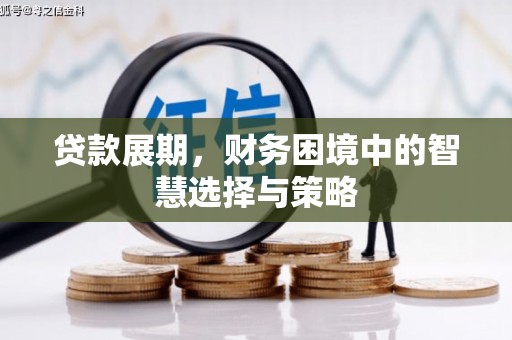 冬山贷款展期，财务困境中的智慧选择与策略