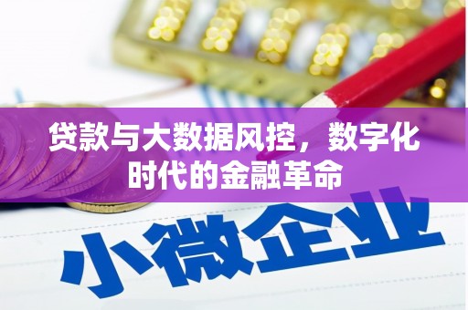 冬山贷款与大数据风控，数字化时代的金融革命
