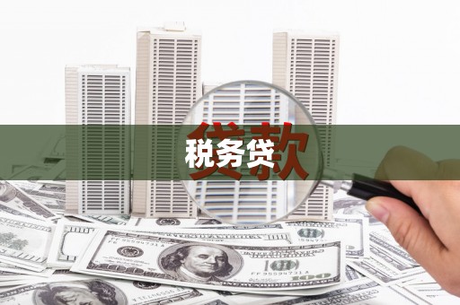 冬山税务贷