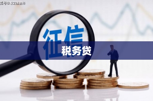 冬山税务贷