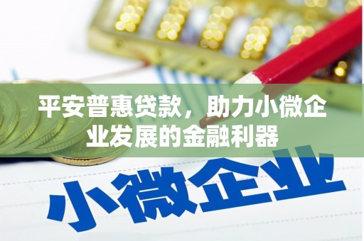 冬山平安普惠贷款，助力小微企业发展的金融利器