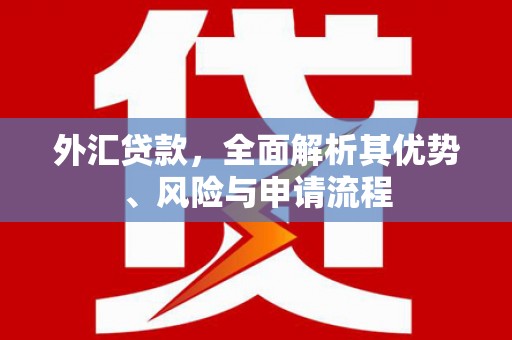 冬山外汇贷款，全面解析其优势、风险与申请流程