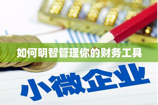 冬山如何明智管理你的财务工具