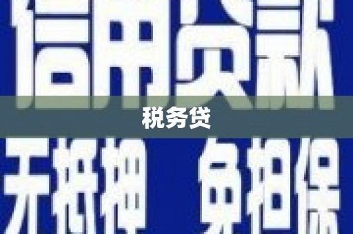 冬山税务贷
