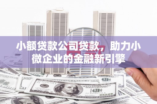 冬山小额贷款公司贷款，助力小微企业的金融新引擎