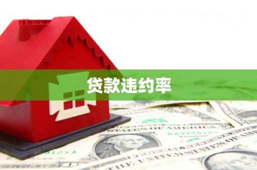 冬山贷款违约率