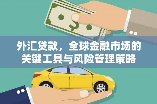 冬山外汇贷款，全球金融市场的关键工具与风险管理策略