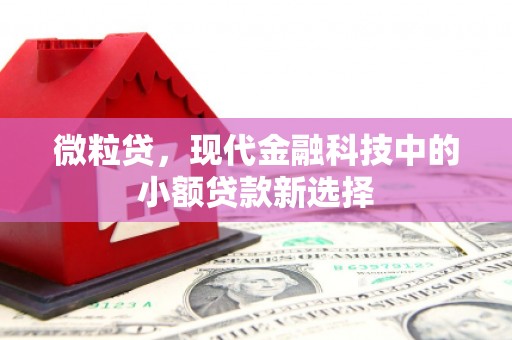 冬山微粒贷，现代金融科技中的小额贷款新选择