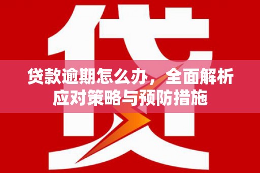 冬山贷款逾期怎么办，全面解析应对策略与预防措施