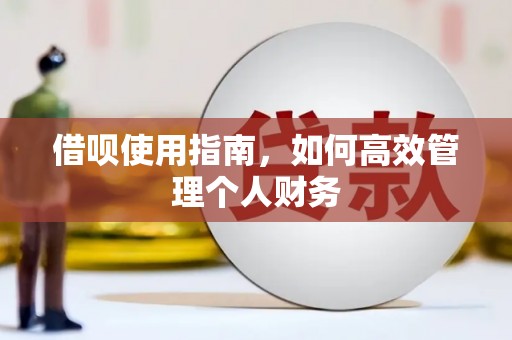 冬山借呗使用指南，如何高效管理个人财务
