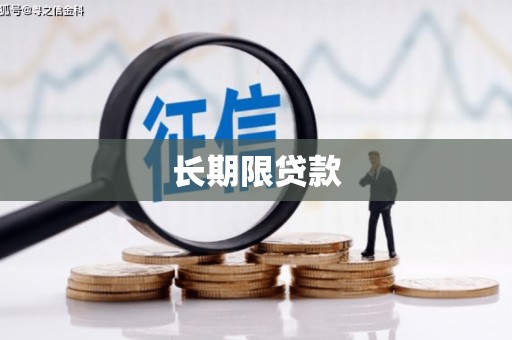 冬山长期限贷款