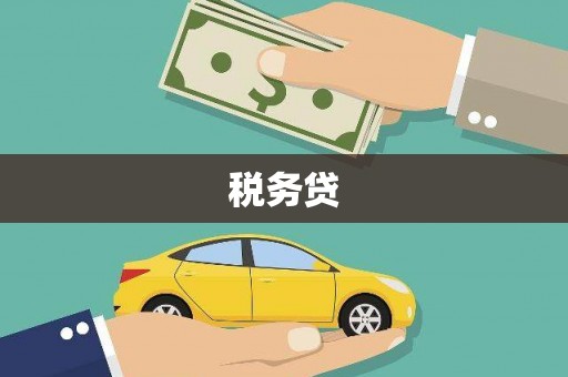 冬山税务贷