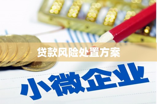 冬山贷款风险处置方案