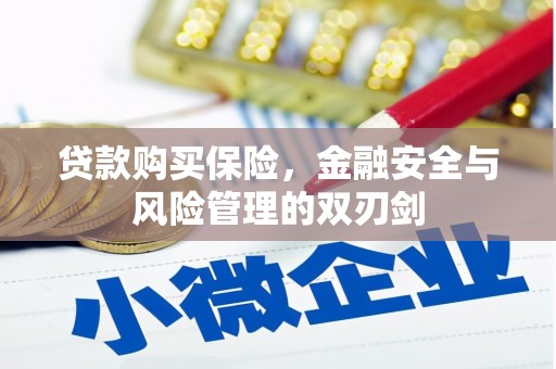冬山贷款购买保险，金融安全与风险管理的双刃剑