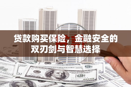 冬山贷款购买保险，金融安全的双刃剑与智慧选择