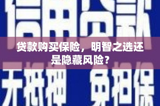 冬山贷款购买保险，明智之选还是隐藏风险？