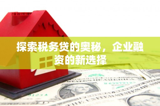 冬山探索税务贷的奥秘，企业融资的新选择