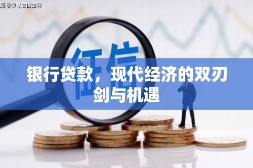 冬山银行贷款，现代经济的双刃剑与机遇