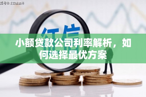 冬山小额贷款公司利率解析，如何选择最优方案