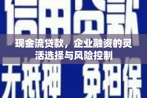 冬山现金流贷款，企业融资的灵活选择与风险控制