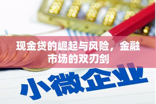 冬山现金贷的崛起与风险，金融市场的双刃剑