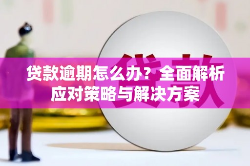 冬山贷款逾期怎么办？全面解析应对策略与解决方案