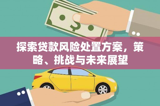 冬山探索贷款风险处置方案，策略、挑战与未来展望