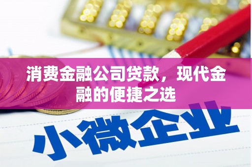 冬山消费金融公司贷款，现代金融的便捷之选