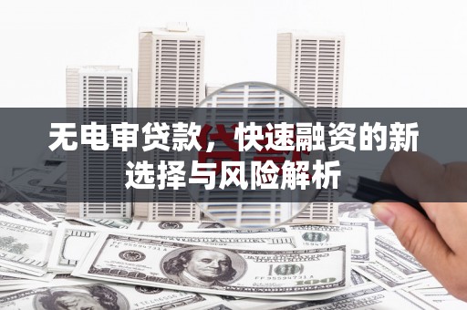 冬山无电审贷款，快速融资的新选择与风险解析