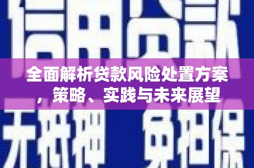 冬山全面解析贷款风险处置方案，策略、实践与未来展望