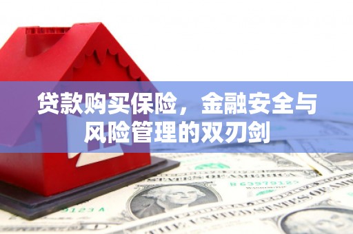 冬山贷款购买保险，金融安全与风险管理的双刃剑