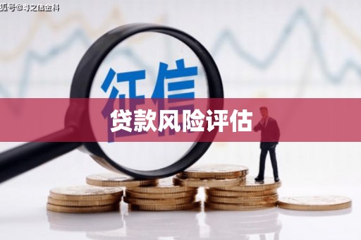 冬山贷款风险评估