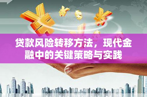 冬山贷款风险转移方法，现代金融中的关键策略与实践
