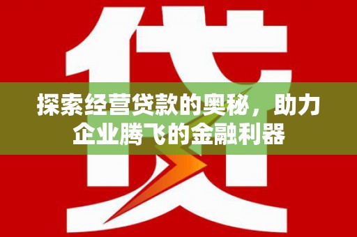 冬山探索经营贷款的奥秘，助力企业腾飞的金融利器