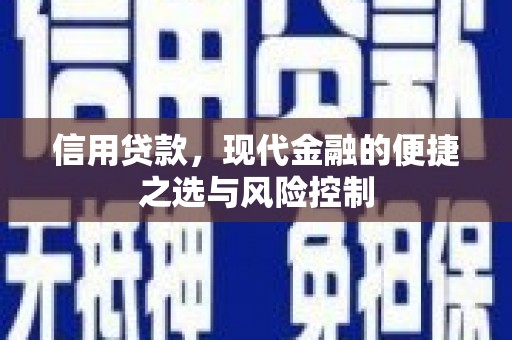 冬山信用贷款，现代金融的便捷之选与风险控制