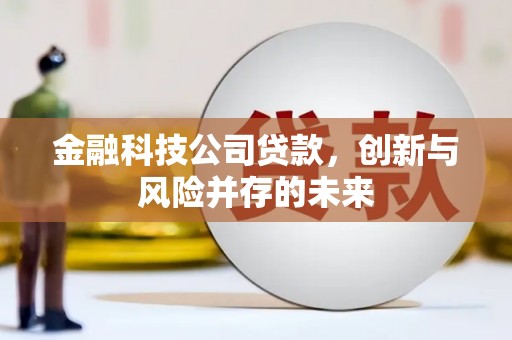 冬山金融科技公司贷款，创新与风险并存的未来