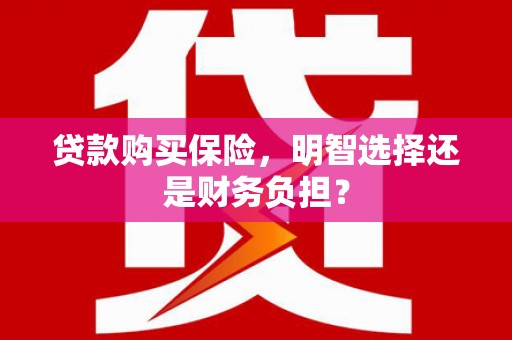 冬山贷款购买保险，明智选择还是财务负担？