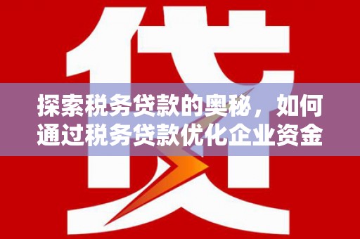 冬山探索税务贷款的奥秘，如何通过税务贷款优化企业资金流