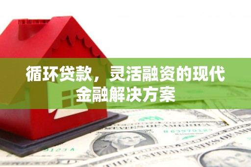 冬山循环贷款，灵活融资的现代金融解决方案