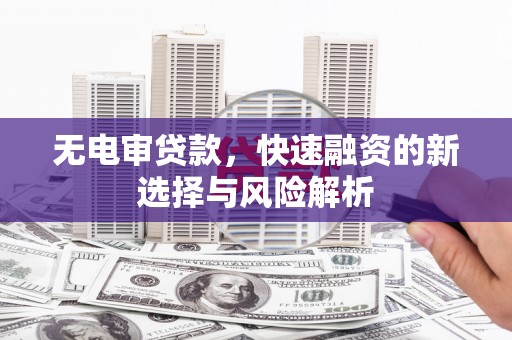冬山无电审贷款，快速融资的新选择与风险解析