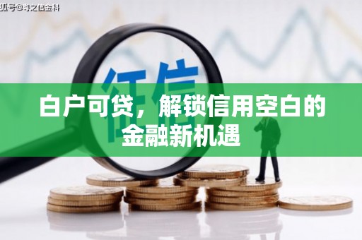 冬山白户可贷，解锁信用空白的金融新机遇