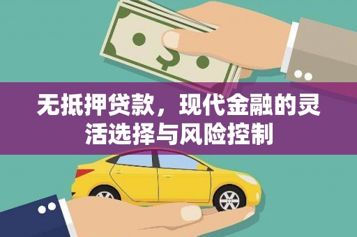 冬山无抵押贷款，现代金融的灵活选择与风险控制