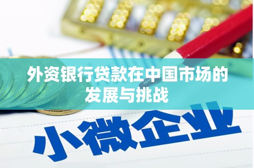 冬山外资银行贷款在中国市场的发展与挑战