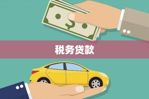 冬山税务贷款