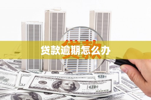 冬山贷款逾期怎么办