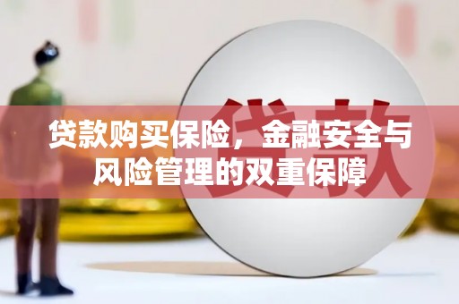 冬山贷款购买保险，金融安全与风险管理的双重保障