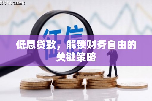 冬山低息贷款，解锁财务自由的关键策略